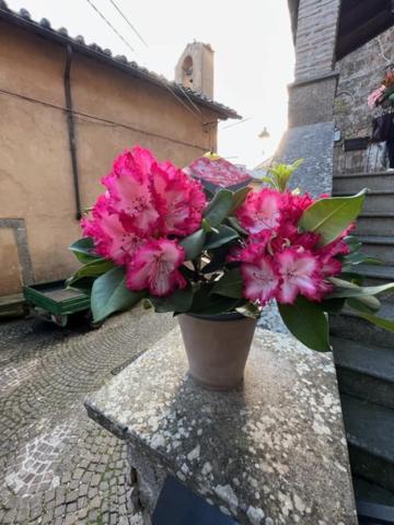La Rocchetta Villa Sutri Eksteriør bilde